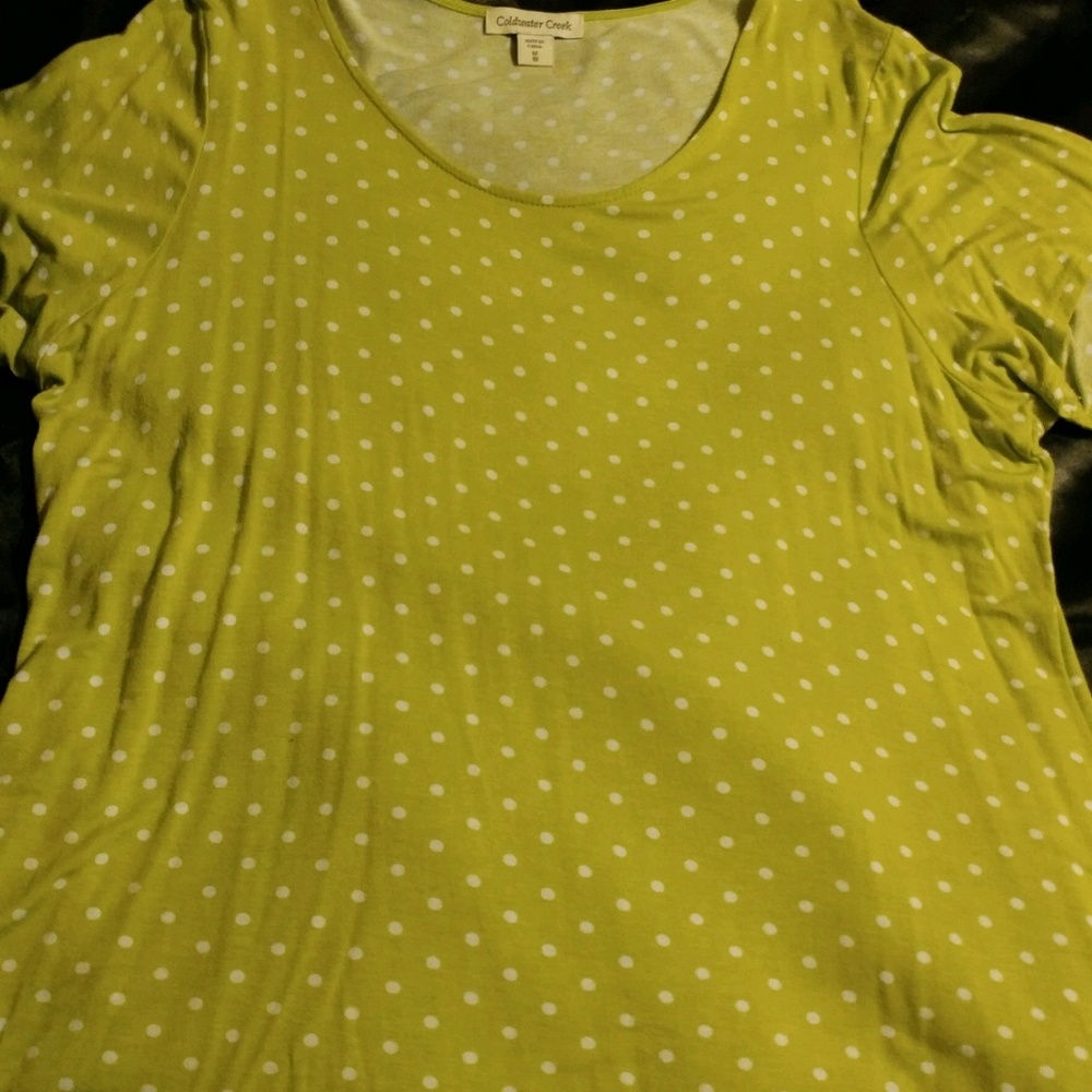 Cold Water Creek Ladies Plus Size Top